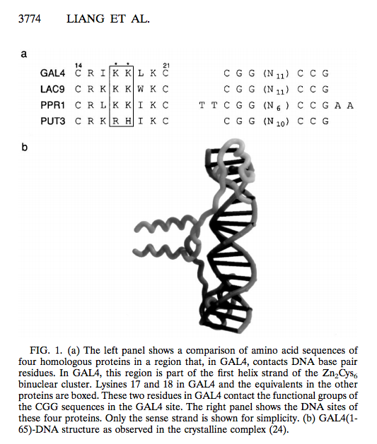 binding site